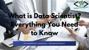 What is Data Scientist?